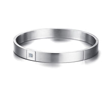 Load image into Gallery viewer, Titanium CZ Bangle